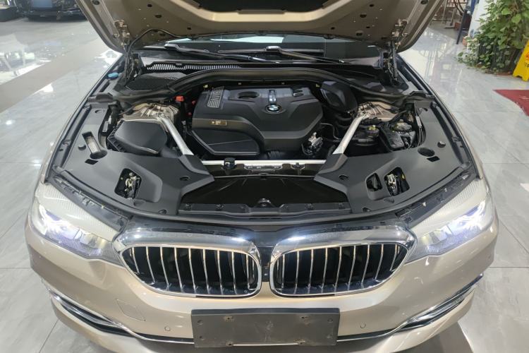 Used BMW 5 Series 2019 Facelifted 530Li Leading Edition Luxury Package Engine Bay