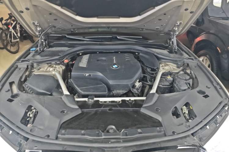 Used BMW 5 Series 2019 Facelifted 530Li Leading Edition Luxury Package Engine Bay