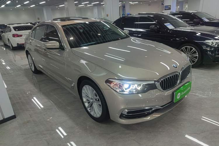 Used BMW 5 Series 2019 525Li Luxury Package Exterior 1