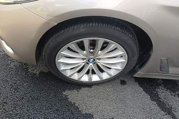 Used BMW 5 Series 2019 525Li Luxury Package Exterior 4