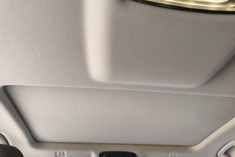Used BMW 5 Series 2019 525Li Luxury Package Headliner