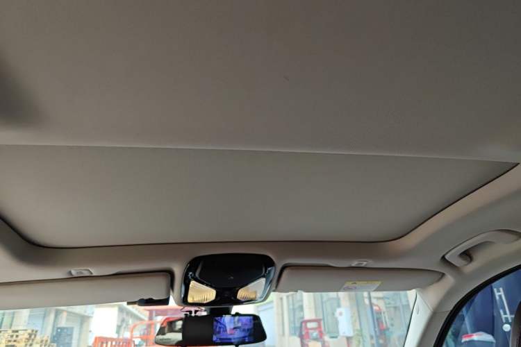 Used BMW 5 Series 2019 530Li Leading Model Luxury Package Headliner