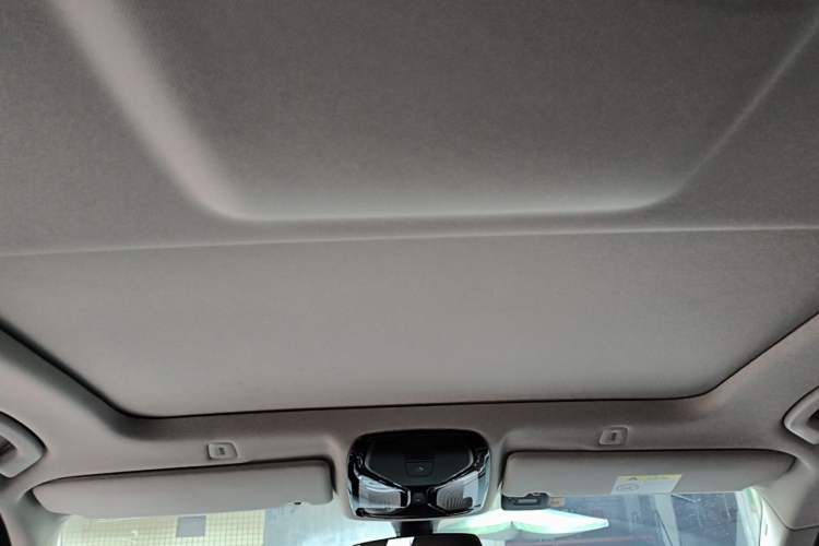 Used BMW 5 Series 2019 525Li Luxury Package Headliner