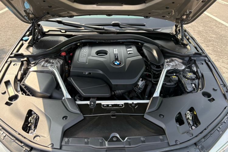 Used BMW 5 Series 2019 Facelifted 530Li Luxury Edition Premium Package Interior 8