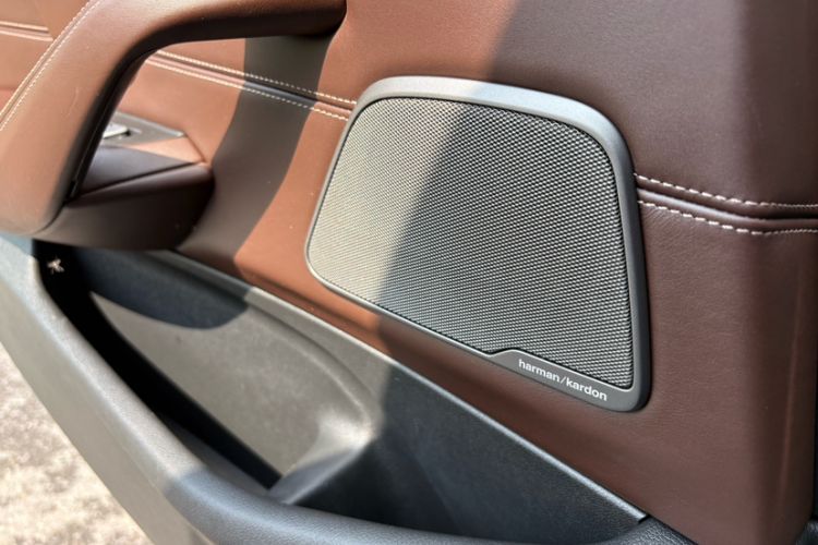 Used BMW 5 Series 2019 Facelifted 530Li Luxury Edition Premium Package Interior 9