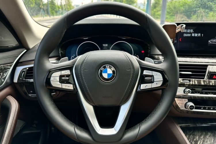 Used BMW 5 Series 2019 Facelifted 530Li Leading Edition Luxury Package Interior 9
