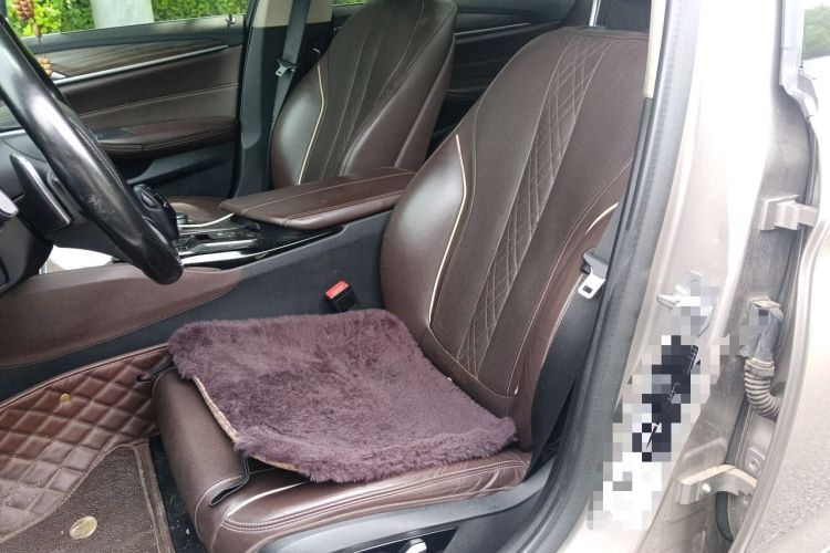 Used BMW 5 Series 2019 Updated 530Li xDrive Luxury Package Left Front Seat