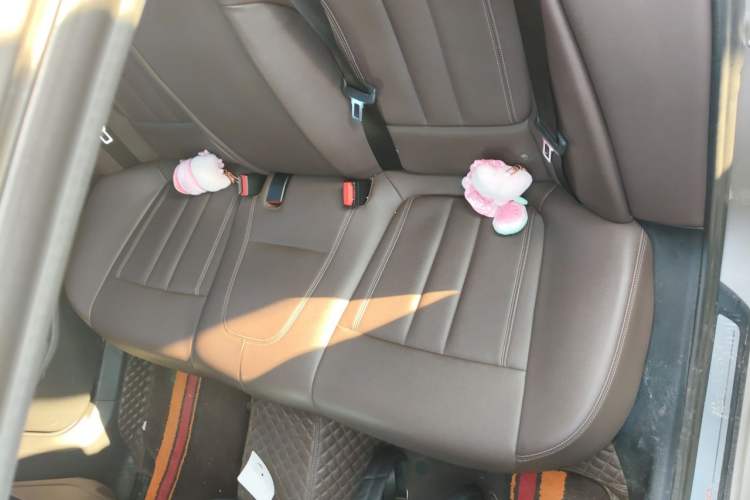 Used BMW 5 Series 2019 525Li Luxury Package Left Rear Seat