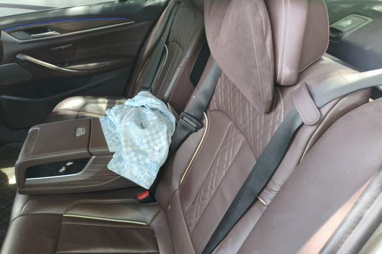 Used BMW 5 Series 2019 Facelifted 530Li Leading Edition Luxury Package Left Rear Seat