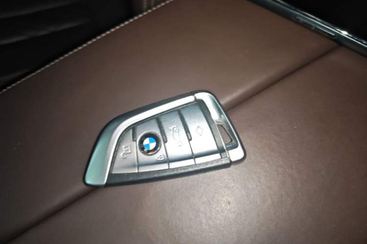 Used BMW 5 Series 2019 Facelifted 530Li Leading Edition Luxury Package Vehicle Key
