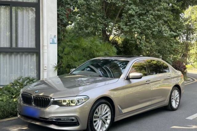 Used BMW 5 Series 2019 530Li Leading Model Luxury Package