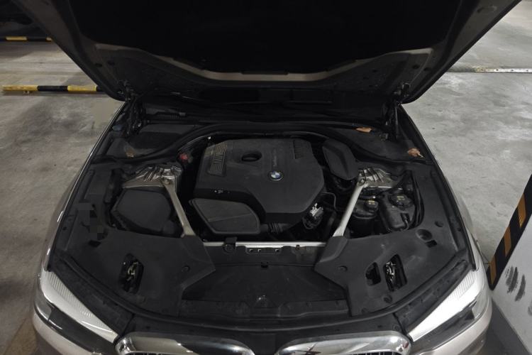 Used BMW 5 Series 2019 530Li Leading Model Luxury Package Engine Bay