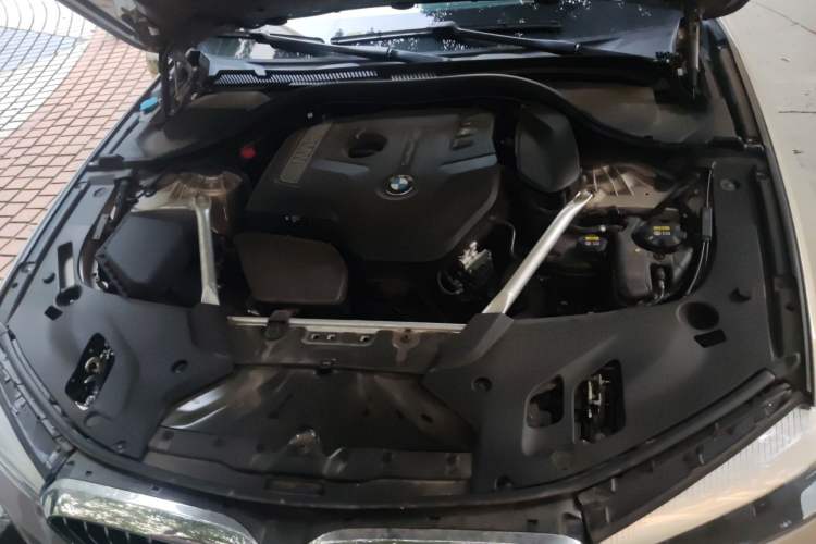 Used BMW 5 Series 2019 Facelifted 530Li Leading Edition Luxury Package Engine Bay