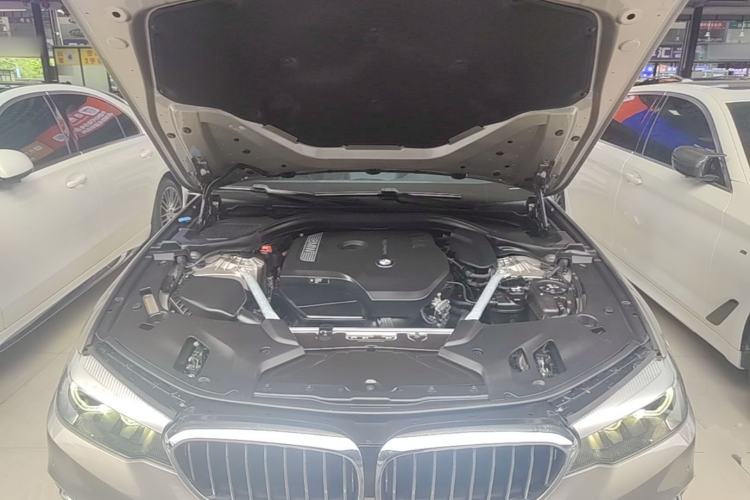 Used BMW 5 Series 2019 530Li Leading Model Luxury Package Engine Bay