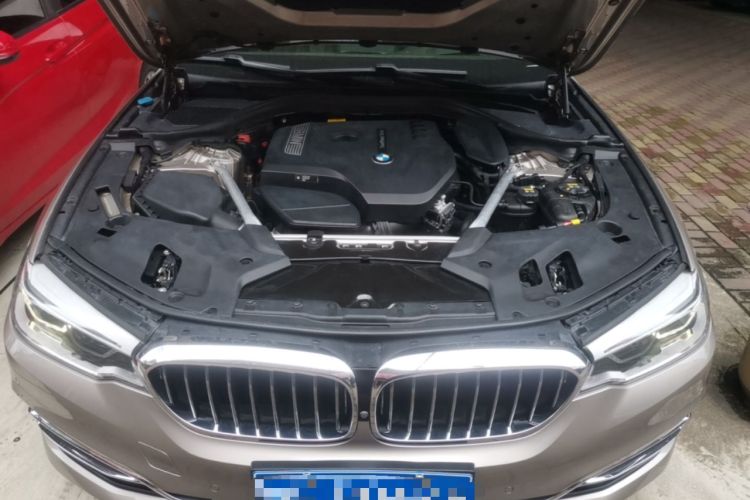 Used BMW 5 Series 2019 530Li Luxury Edition Premium Package Engine Bay