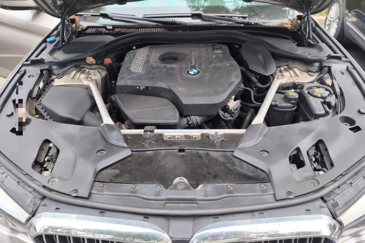 Used BMW 5 Series 2019 530Li Leading Model Luxury Package Engine Bay