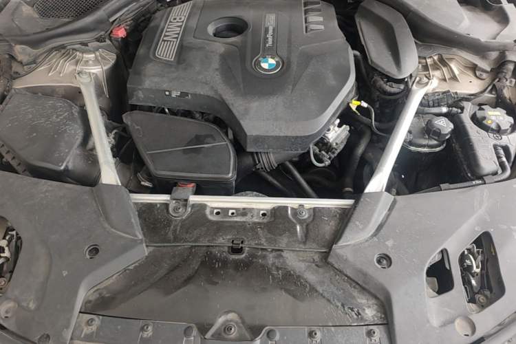 Used BMW 5 Series 2019 Facelifted 530Li Leading Edition Luxury Package Engine Bay