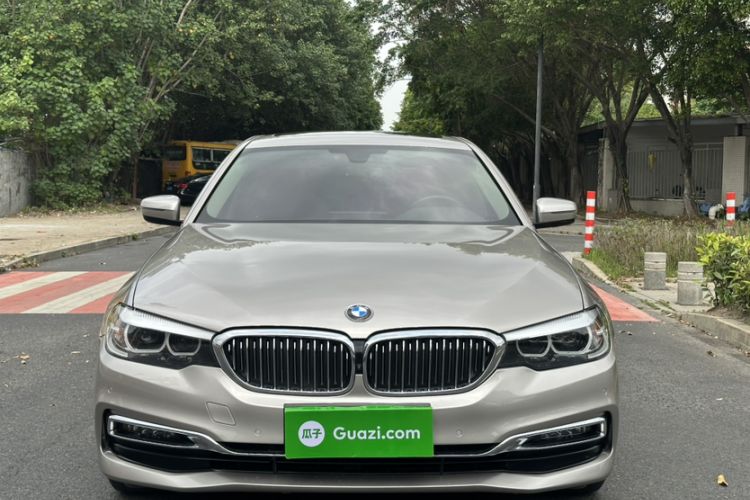 Used BMW 5 Series 2019 525Li Luxury Package Exterior 5