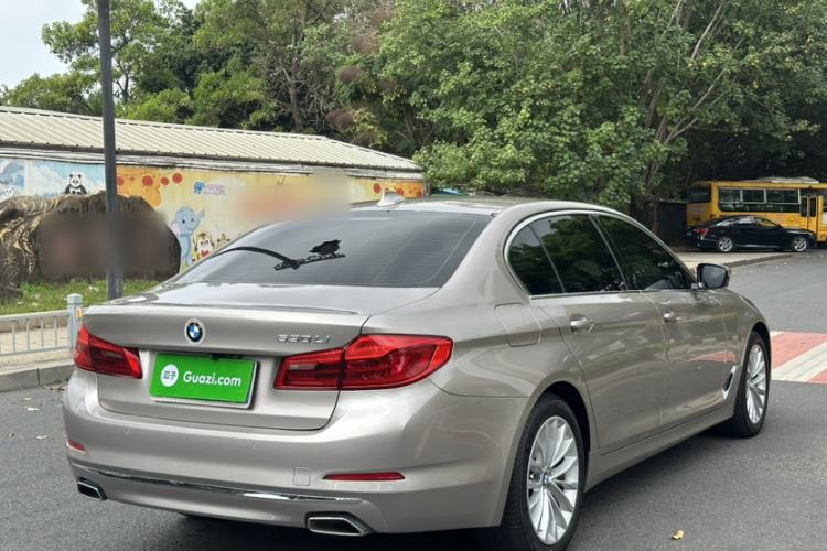 Used BMW 5 Series 2019 525Li Luxury Package Exterior 6