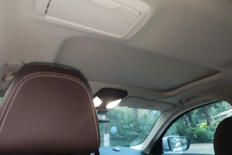 Used BMW 5 Series 2019 Facelifted 530Li Leading Edition Luxury Package Headliner