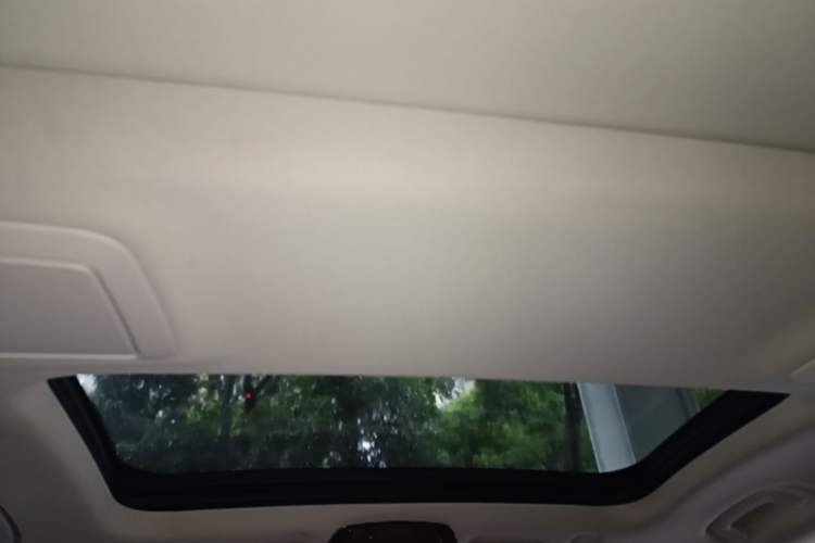 Used BMW 5 Series 2019 530Li Leading Model Luxury Package Headliner