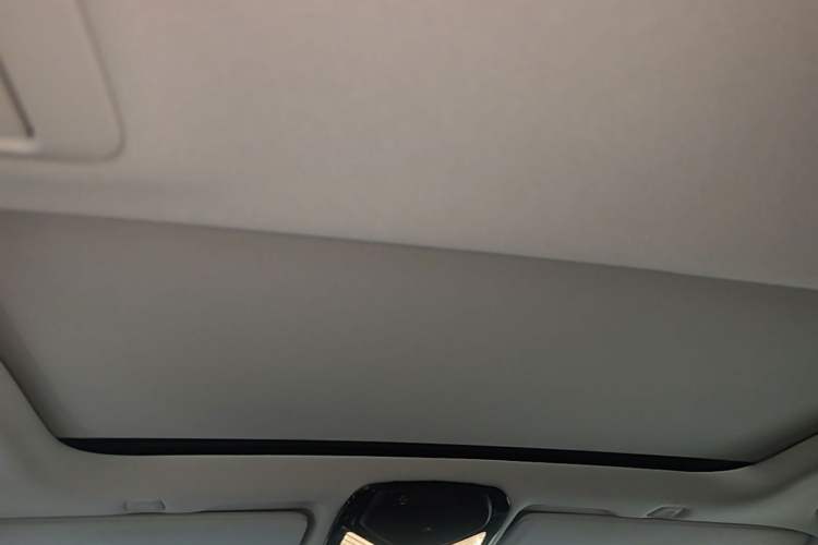 Used BMW 5 Series 2019 Facelifted 530Li Leading Edition Luxury Package Headliner