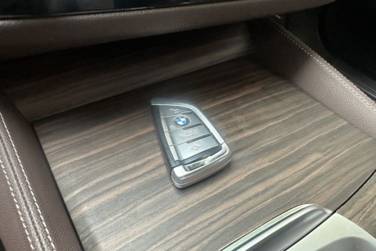 Used BMW 5 Series 2019 530Li Leading Model Luxury Package Interior 10