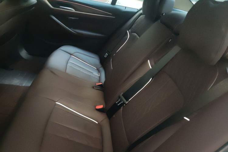 Used BMW 5 Series 2019 Facelifted 530Li Leading Edition Luxury Package Interior 4