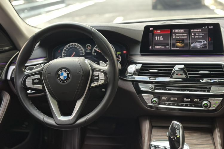 Used BMW 5 Series 2019 530Li Leading Model Luxury Package Interior 8