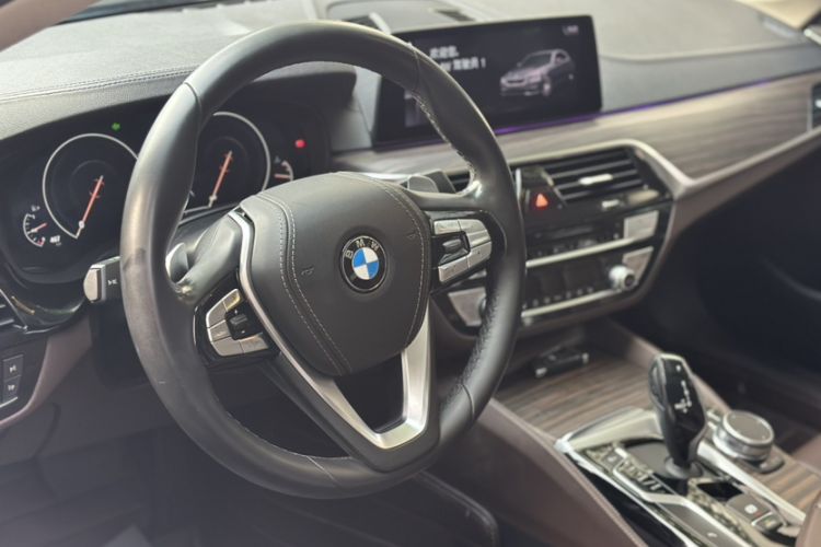 Used BMW 5 Series 2019 530Li Leading Model Luxury Package Interior 9
