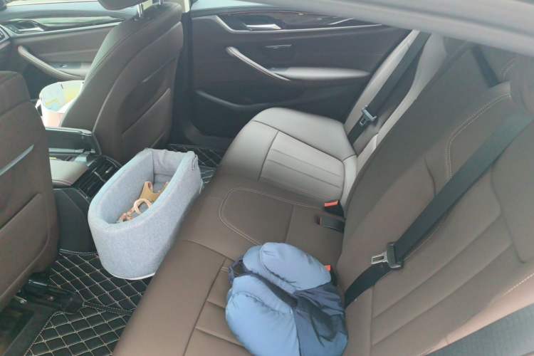 Used BMW 5 Series 2019 Facelifted 525Li Luxury Package Left Rear Seat