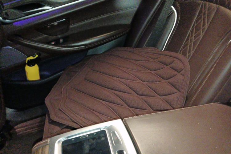 Used BMW 5 Series 2019 530Li Luxury Edition Premium Package Left Rear Seat