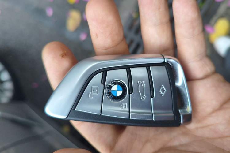 Used BMW 5 Series 2019 525Li Luxury Package Vehicle Key