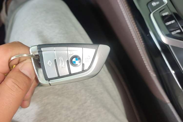 Used BMW 5 Series 2019 Facelifted 530Li Leading Edition Luxury Package Vehicle Key