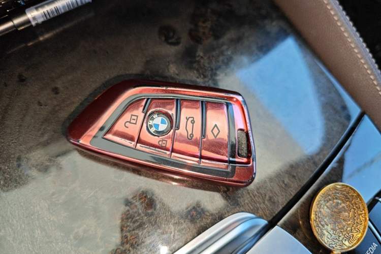 Used BMW 5 Series 2019 525Li M Sport Package Vehicle Key