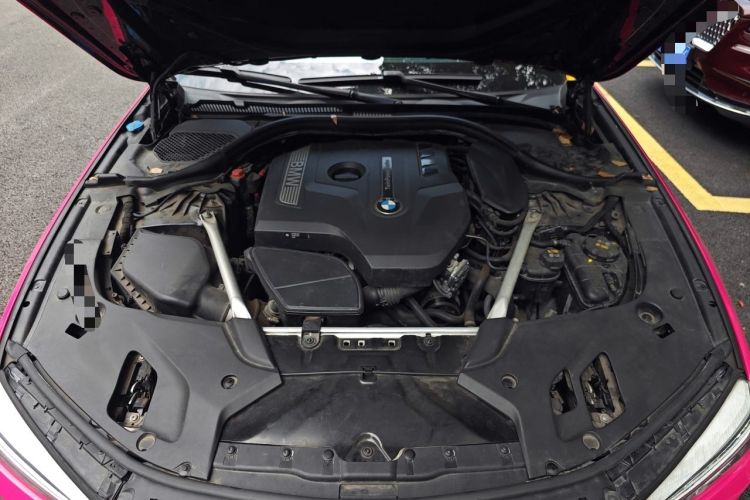 Used BMW 5 Series 2019 530Li xDrive M Sport Package Engine Bay