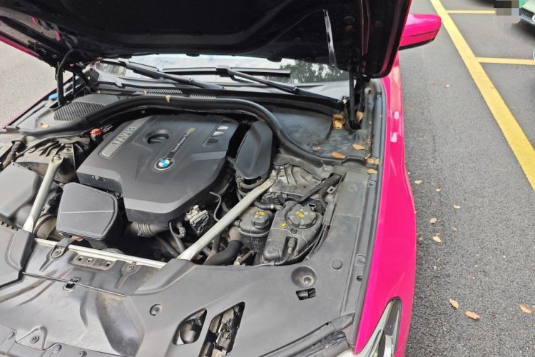 Used BMW 5 Series 2019 530Li xDrive M Sport Package Engine Bay Left