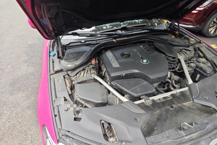 Used BMW 5 Series 2019 530Li xDrive M Sport Package Engine Bay Right