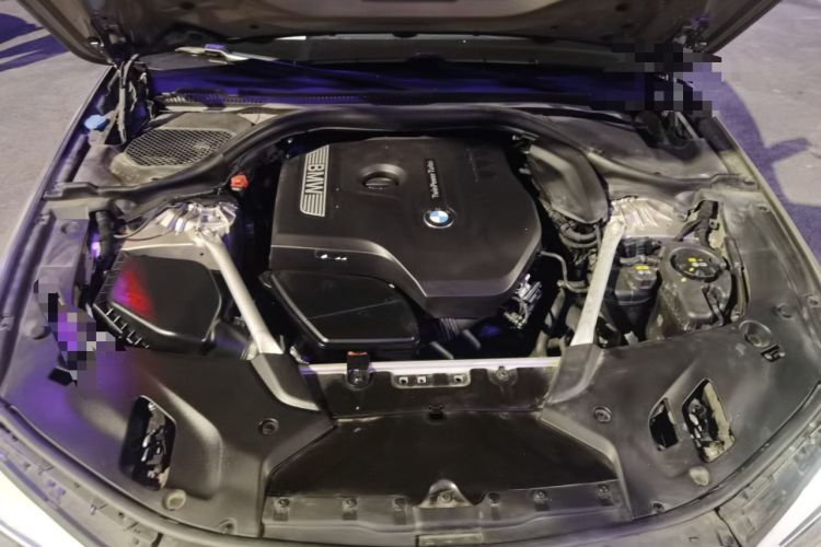 Used BMW 5 Series 2019 530Li Luxury Edition Premium Package Engine Bay