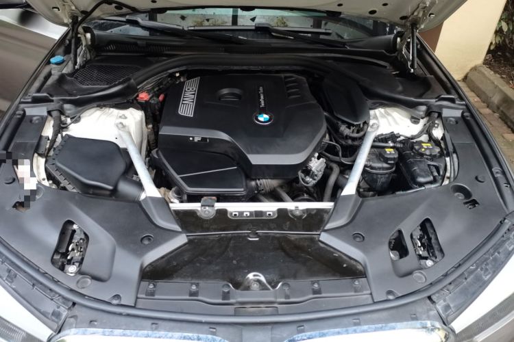 Used BMW 5 Series 2019 530Li Leading Model Luxury Package Engine Bay