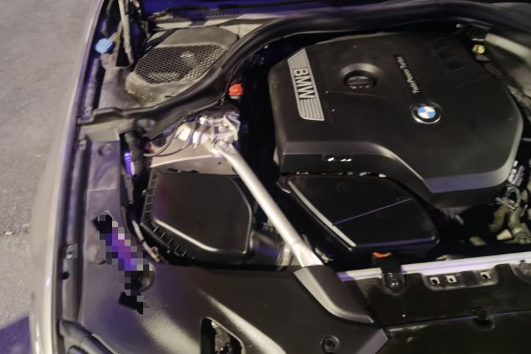 Used BMW 5 Series 2019 530Li Luxury Edition Premium Package Engine Bay Right