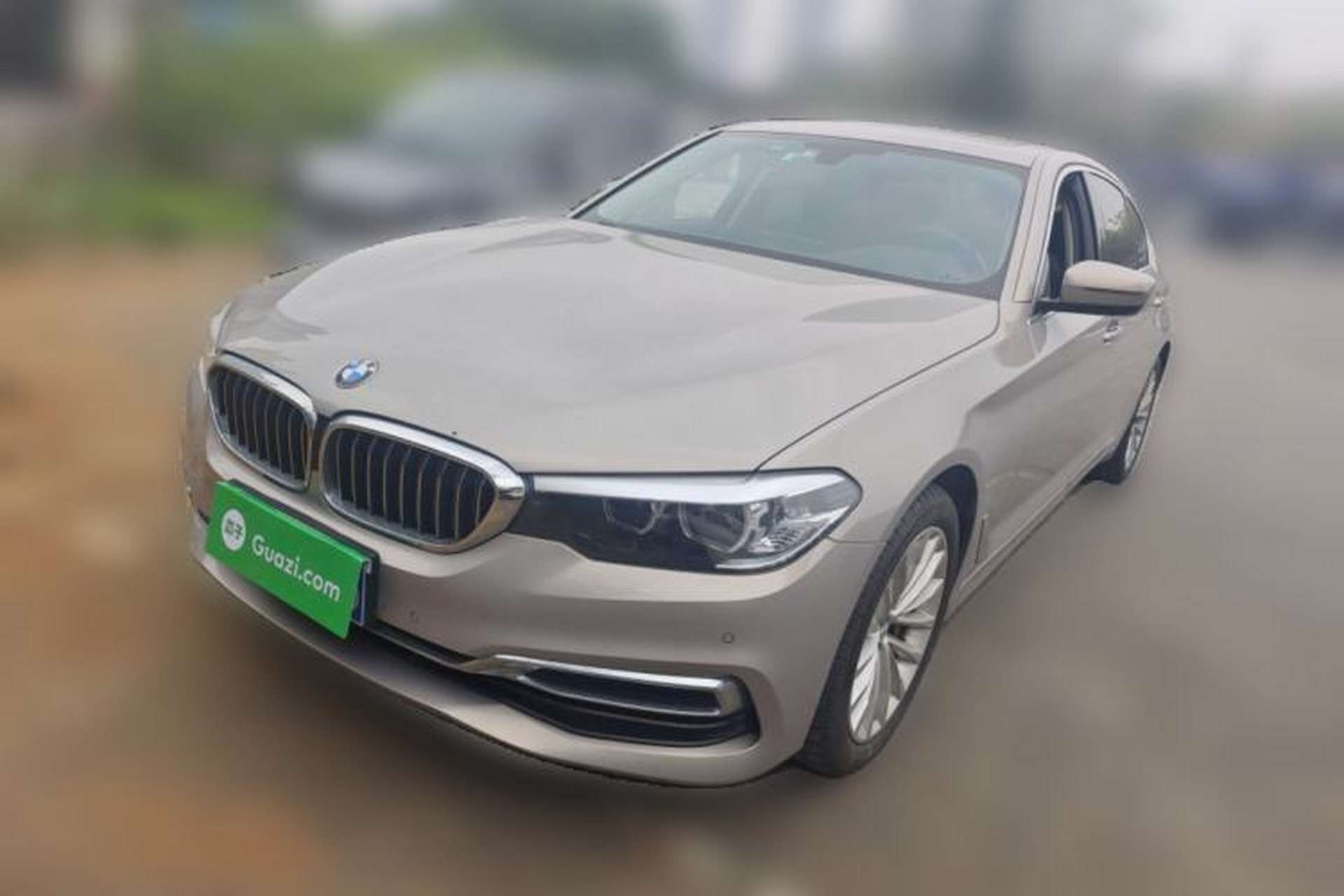 Used BMW 5 Series 2019 530Li Leading Model Luxury Package Front Left 45 Deg