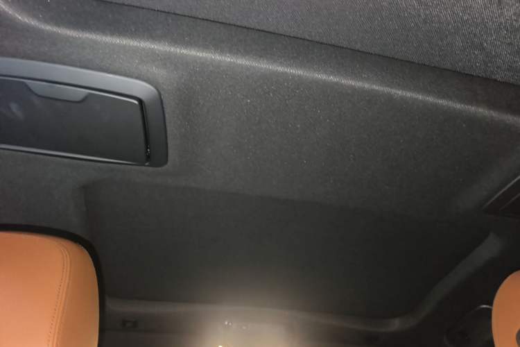 Used BMW 5 Series 2019 530Li Leading Model M Sport Package Headliner