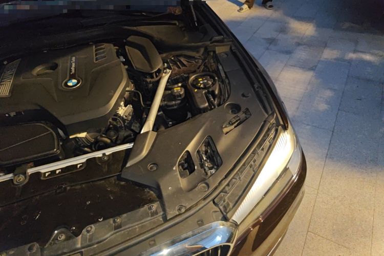 Used BMW 5 Series 2019 530Li Leading Model Luxury Package Engine Bay Left