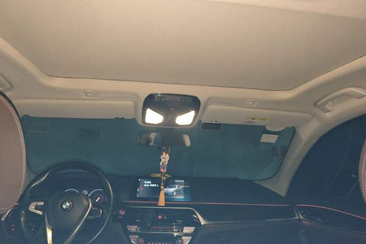Used BMW 5 Series 2019 525Li Luxury Package Headliner