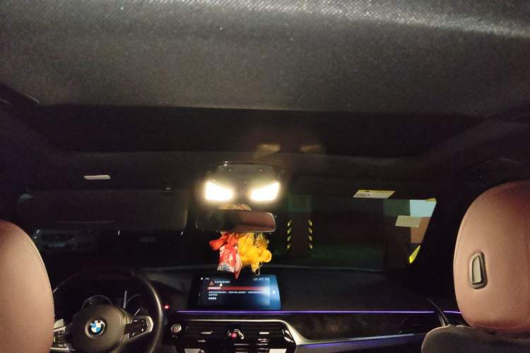 Used BMW 5 Series 2019 Facelifted 530Li Leading Edition M Sport Package Headliner