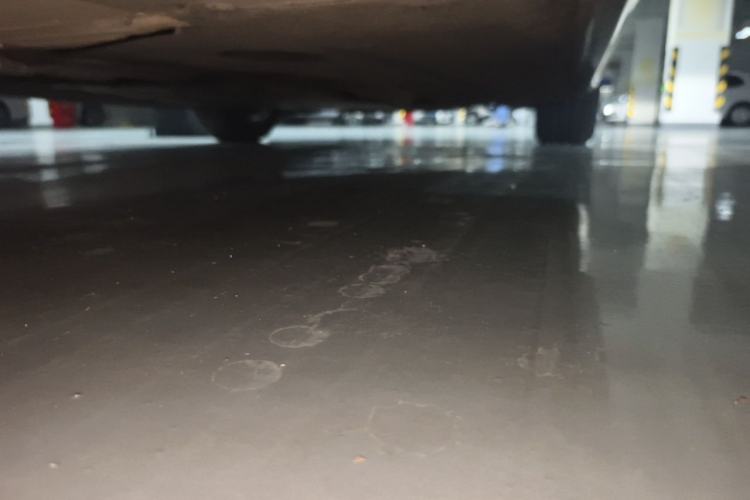 Used BMW 5 Series 2019 530Li Leading Model Luxury Package Chassis Rear Right
