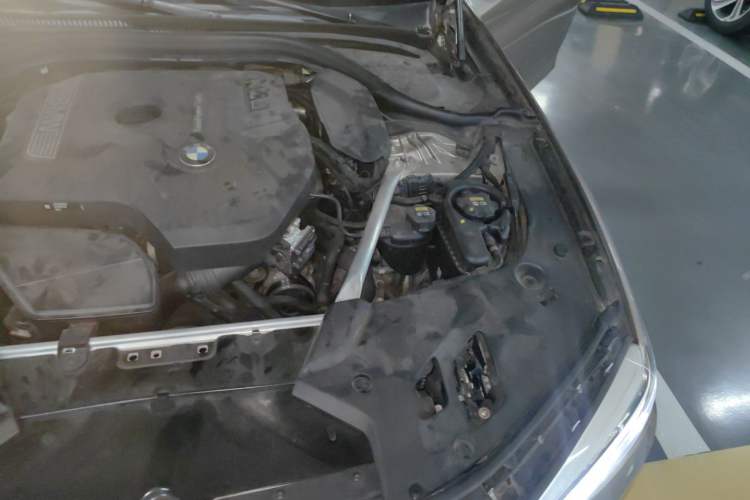 Used BMW 5 Series 2019 530Li Luxury Edition Premium Package Engine Bay Left