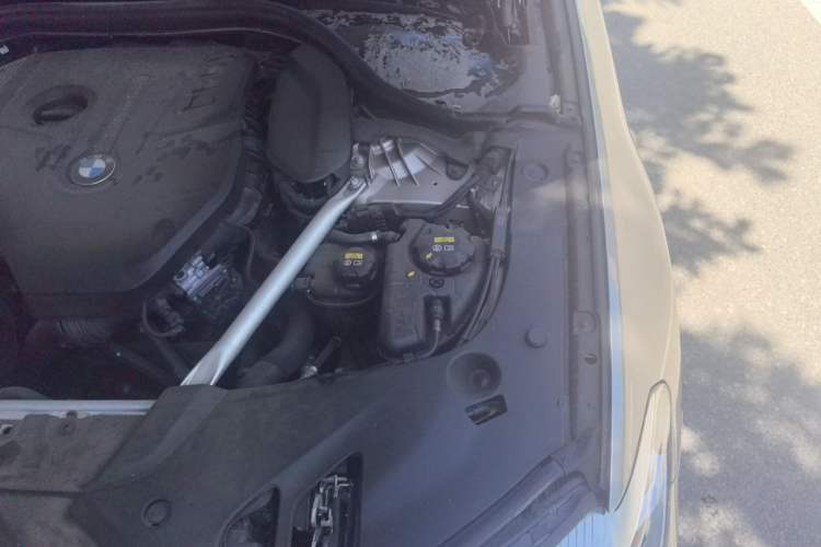 Used BMW 5 Series 2019 Updated 530Li xDrive Luxury Package Engine Bay Left