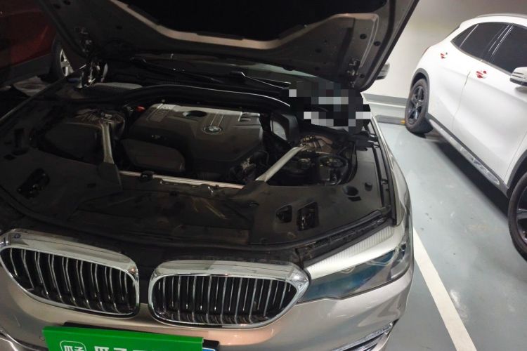 Used BMW 5 Series 2019 530Li Leading Model Luxury Package Engine Bay Left
